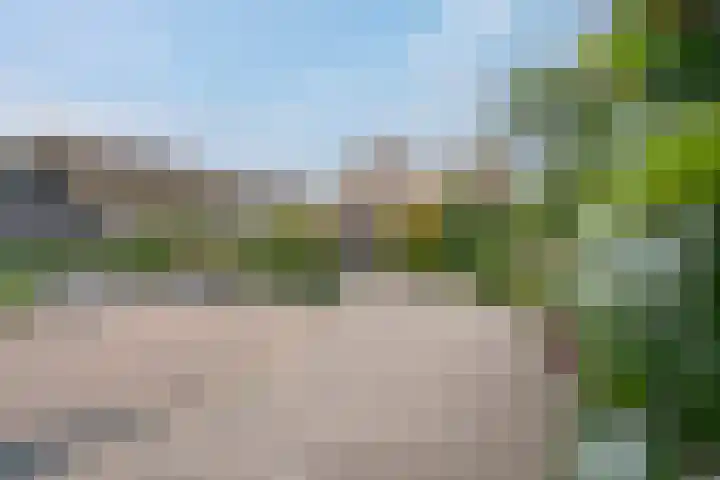 Havezatherweg 7 Belt-Schutsloot thumbnail 5