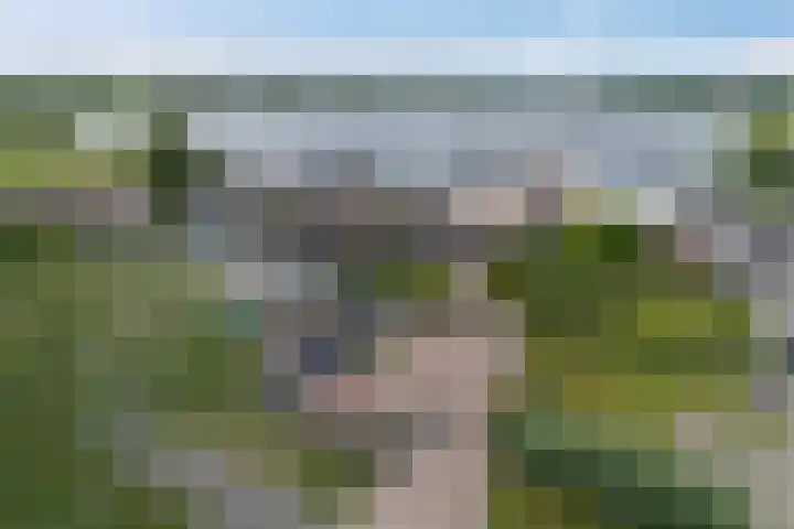 Havezatherweg 7 Belt-Schutsloot thumbnail 50