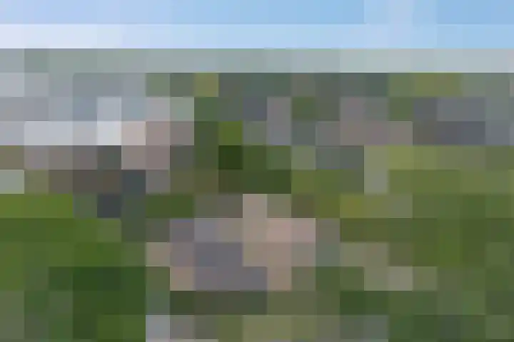 Havezatherweg 7 Belt-Schutsloot thumbnail 51