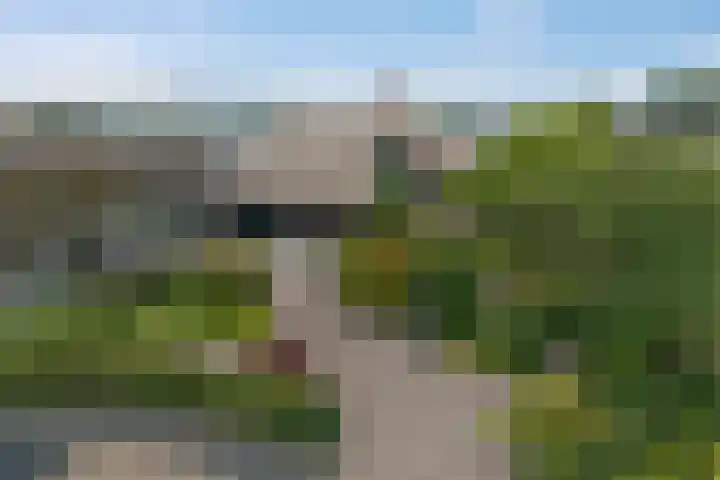 Havezatherweg 7 Belt-Schutsloot thumbnail 52