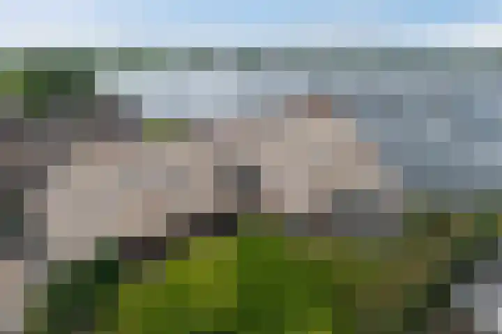Havezatherweg 7 Belt-Schutsloot thumbnail 53