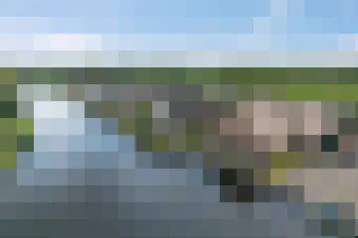 Havezatherweg 7 Belt-Schutsloot thumbnail 56