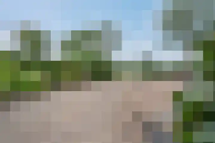 Havezatherweg 7 Belt-Schutsloot thumbnail 6