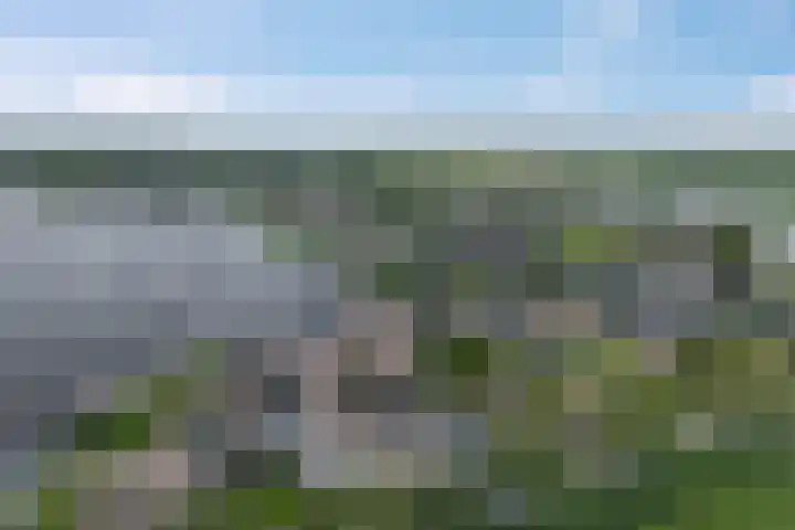 Havezatherweg 7 Belt-Schutsloot thumbnail 60