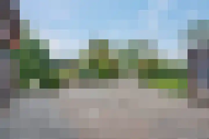 Havezatherweg 7 Belt-Schutsloot thumbnail 8