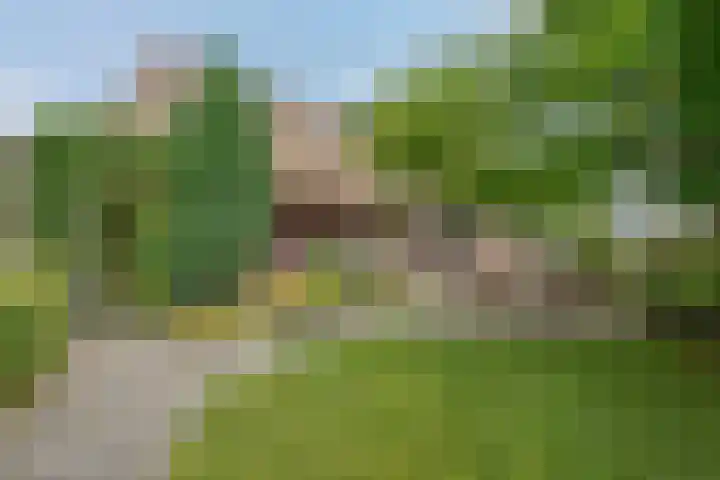 Havezatherweg 7 Belt-Schutsloot thumbnail 9