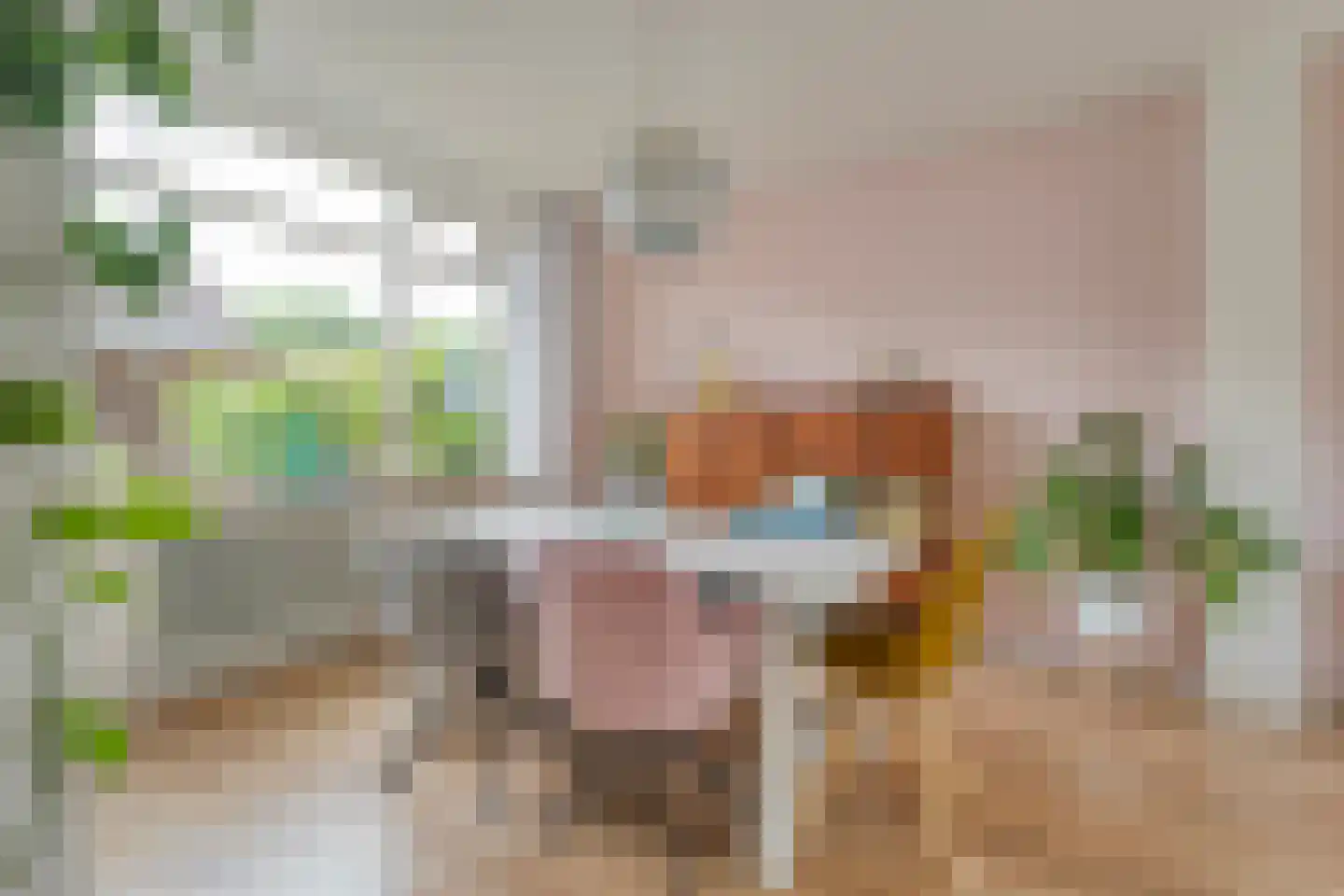 Havezathestraat 5 Gramsbergen thumbnail 13