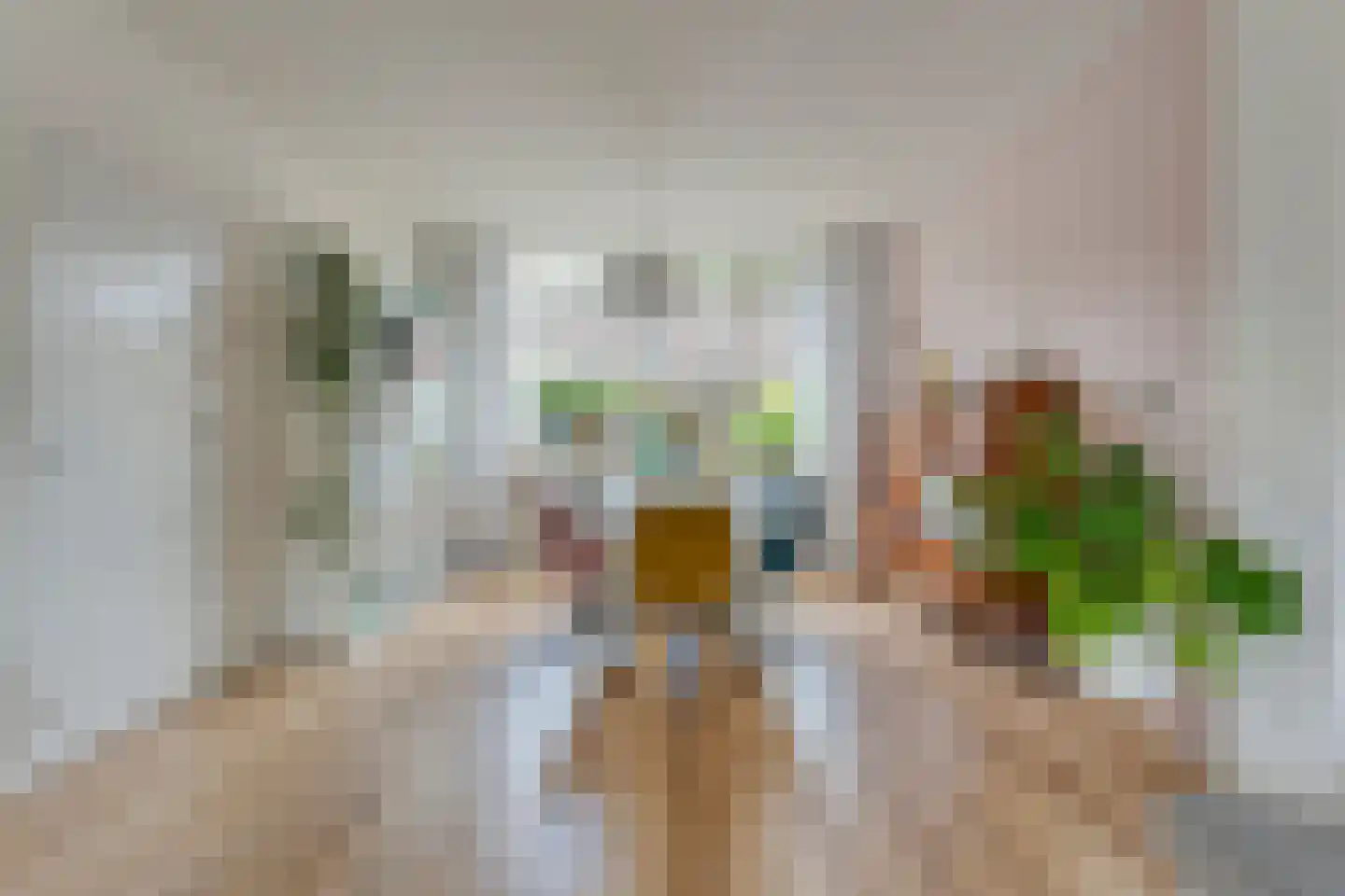 Havezathestraat 5 Gramsbergen thumbnail 14