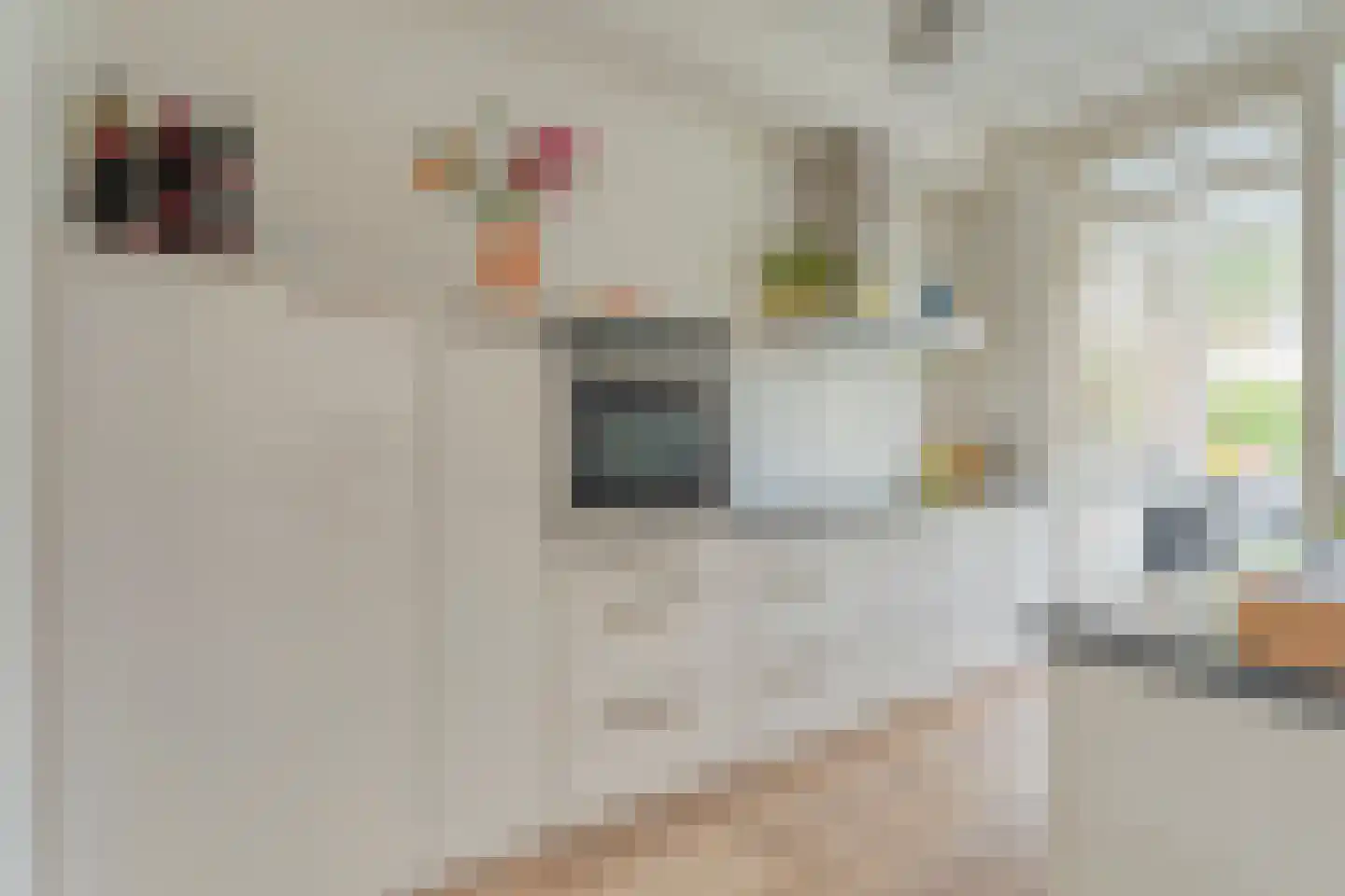 Havezathestraat 5 Gramsbergen thumbnail 15