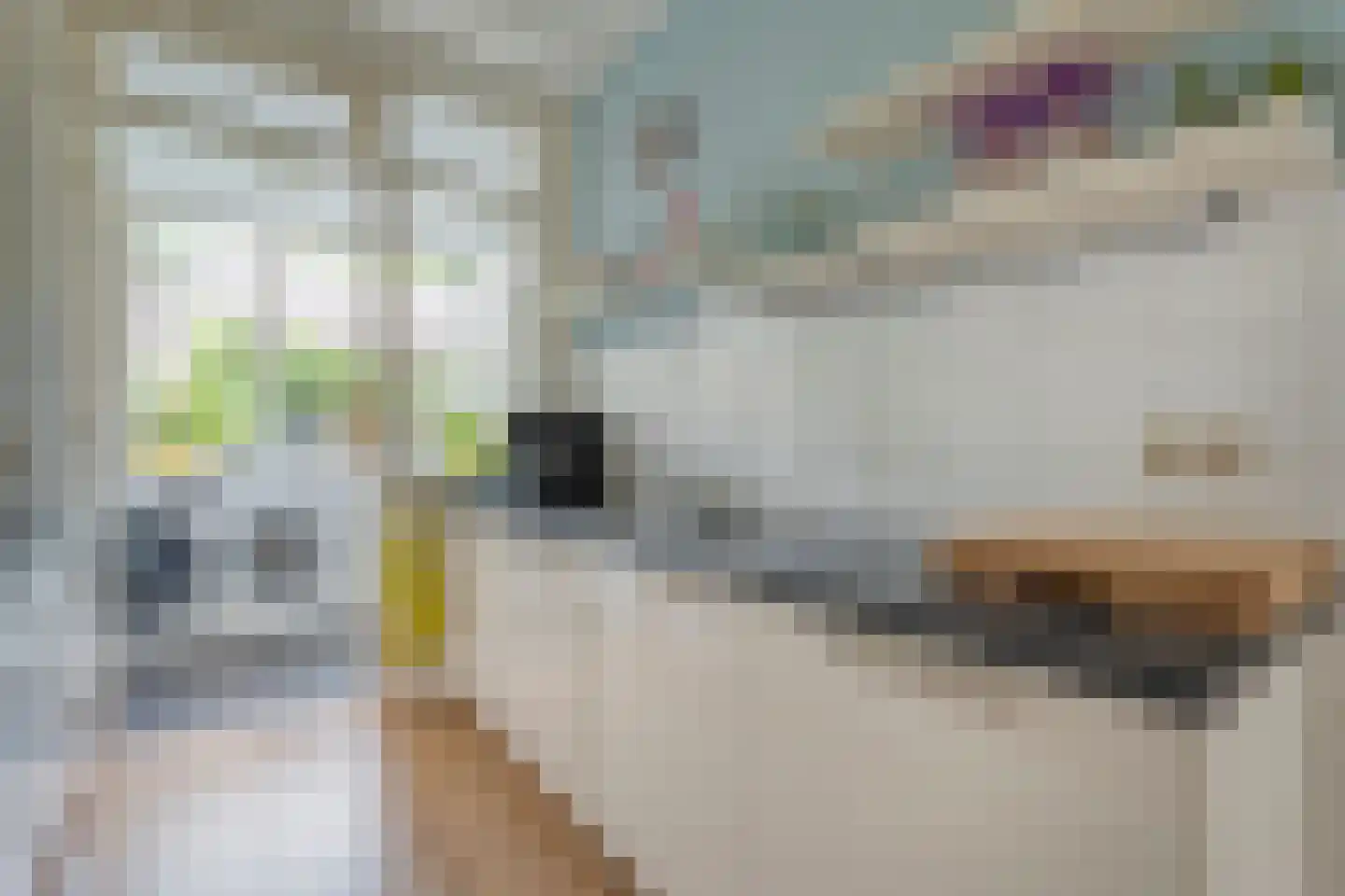 Havezathestraat 5 Gramsbergen thumbnail 16