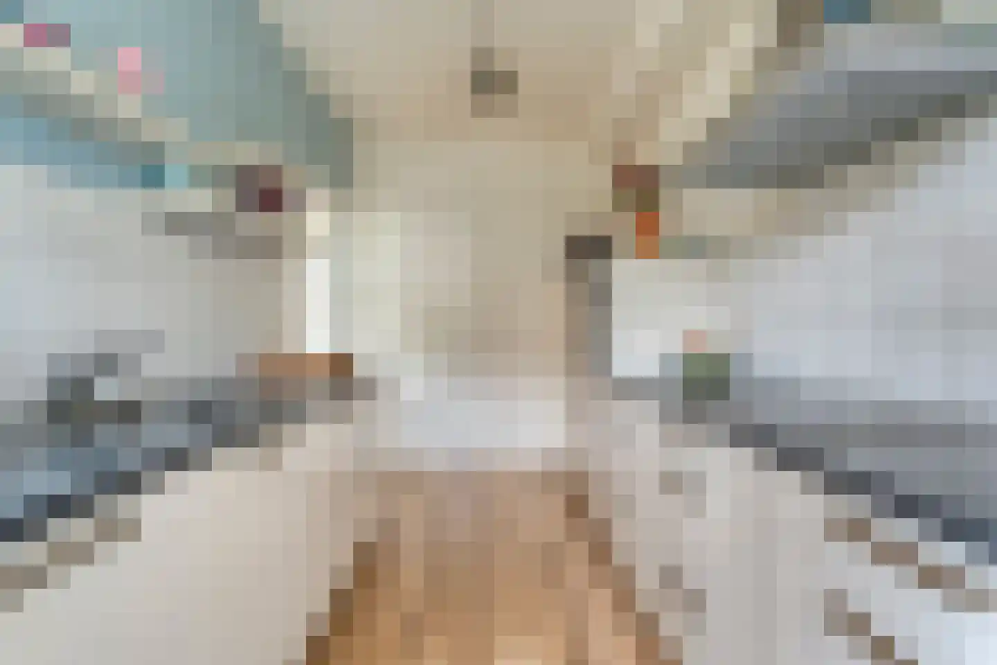 Havezathestraat 5 Gramsbergen thumbnail 17