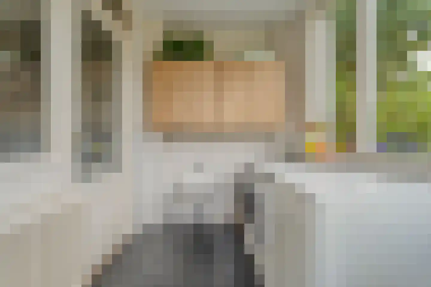 Havezathestraat 5 Gramsbergen thumbnail 19
