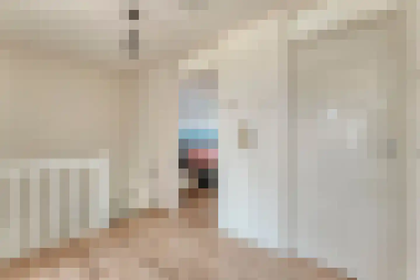 Havezathestraat 5 Gramsbergen thumbnail 20