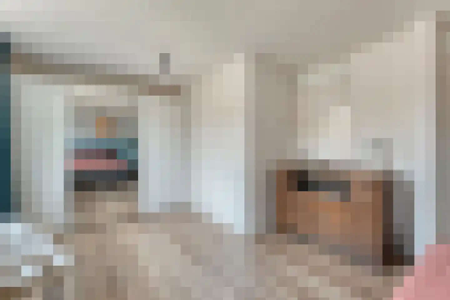 Havezathestraat 5 Gramsbergen thumbnail 25