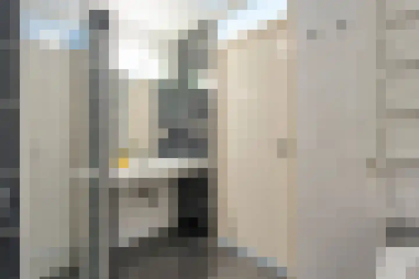 Havezathestraat 5 Gramsbergen thumbnail 32