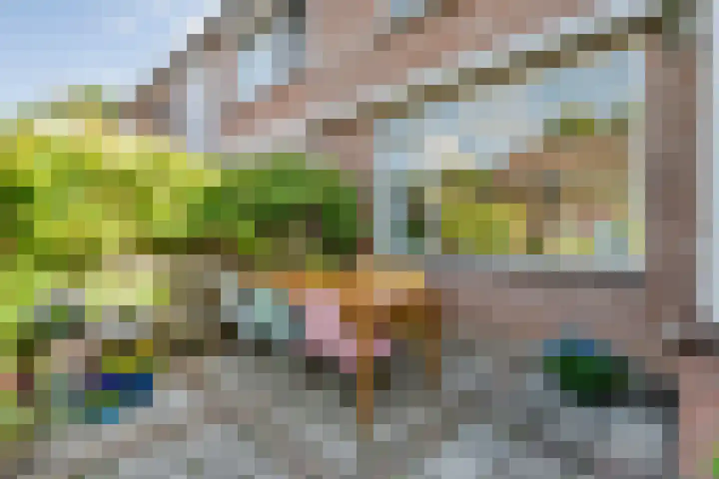 Havezathestraat 5 Gramsbergen thumbnail 35