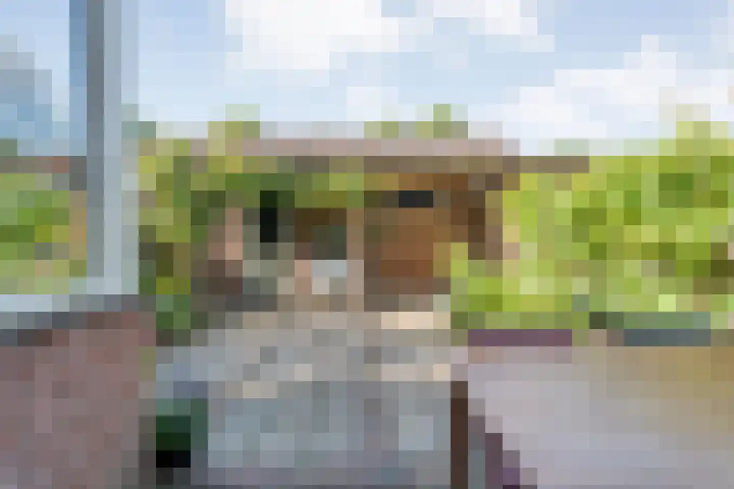 Havezathestraat 5 Gramsbergen thumbnail 36