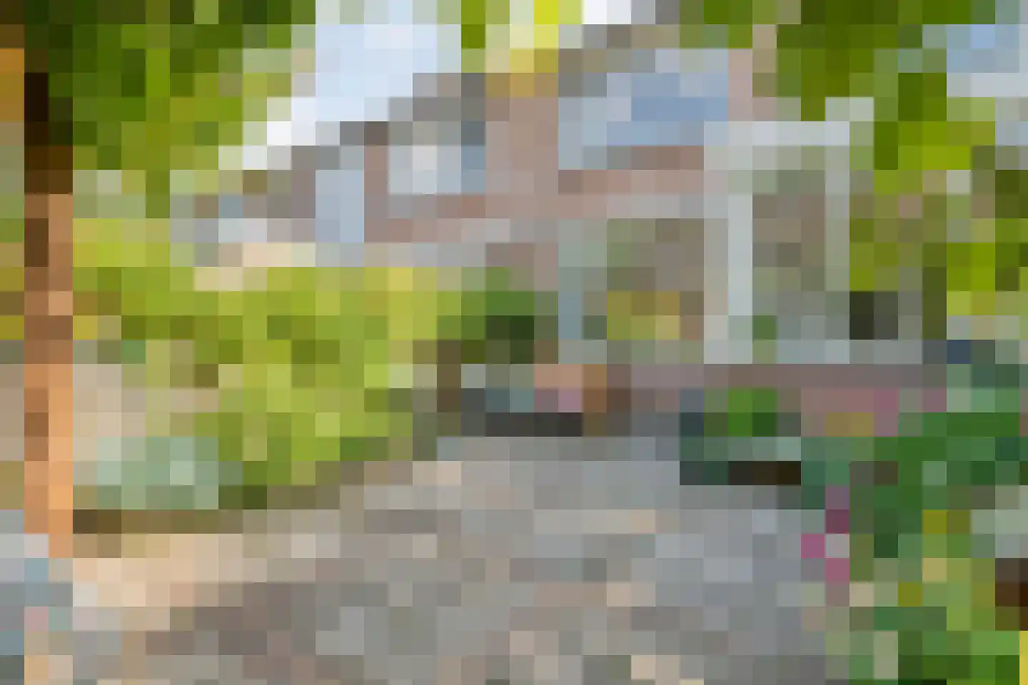 Havezathestraat 5 Gramsbergen thumbnail 37