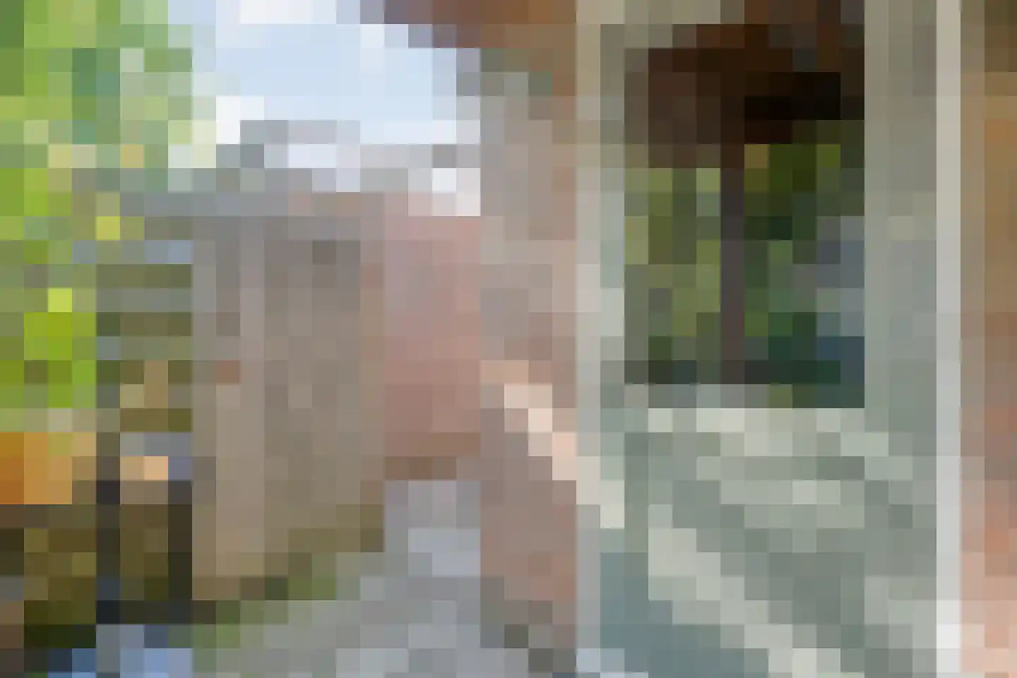 Havezathestraat 5 Gramsbergen thumbnail 39