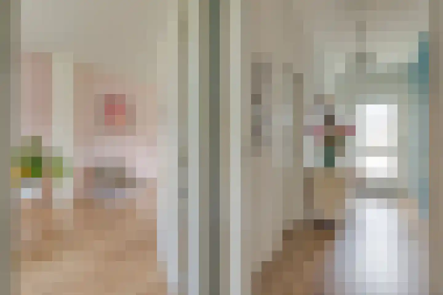 Havezathestraat 5 Gramsbergen thumbnail 9