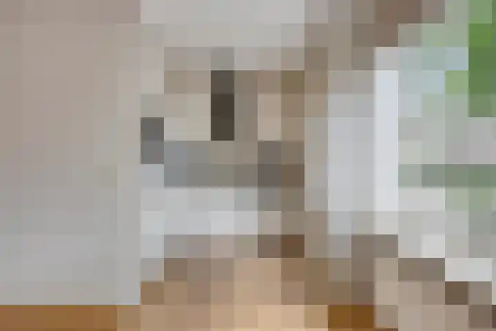 Havik 14 Etten-Leur thumbnail 10