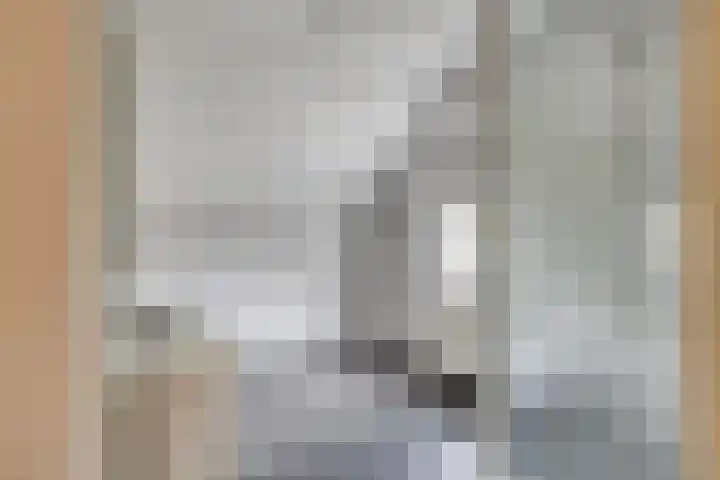 Havik 14 Etten-Leur thumbnail 16