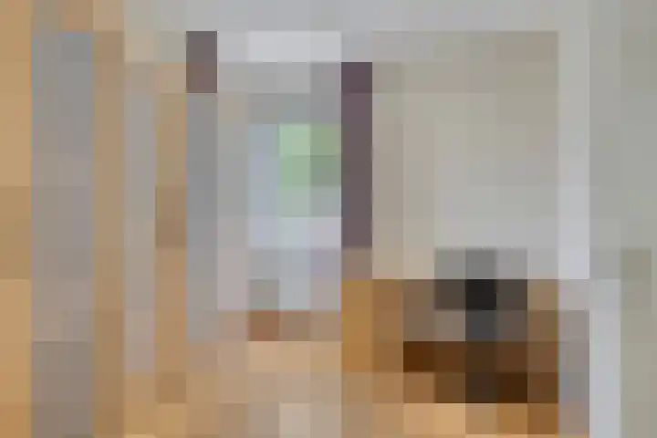 Havik 14 Etten-Leur thumbnail 21