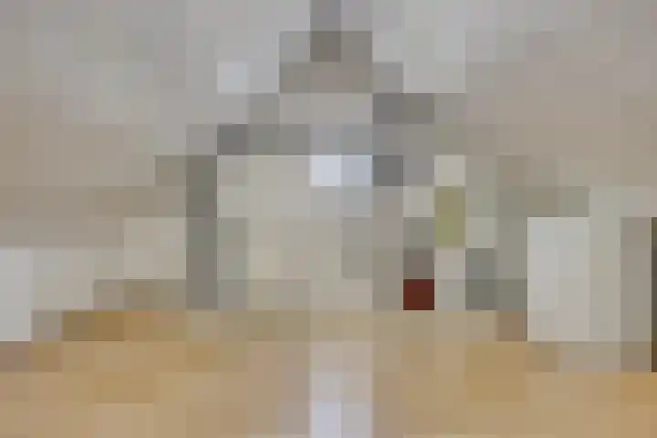 Havik 14 Etten-Leur thumbnail 23