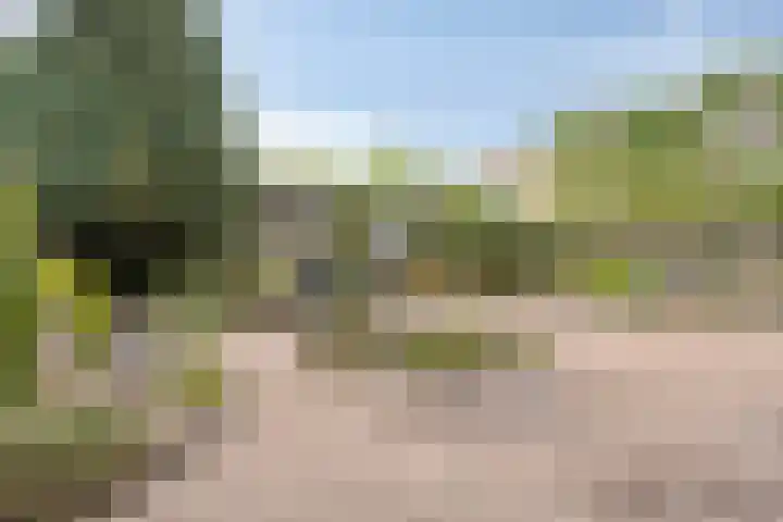 Havik 14 Etten-Leur thumbnail 24