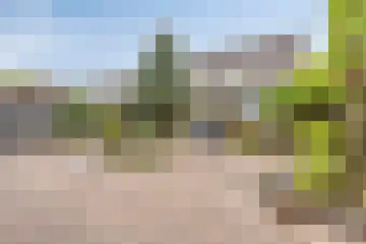 Havik 14 Etten-Leur thumbnail 25
