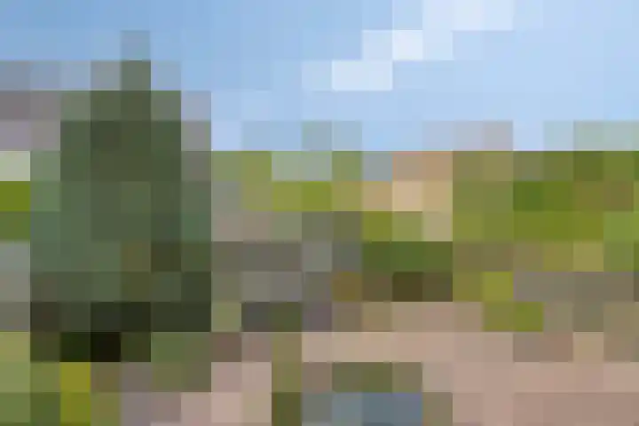 Havik 14 Etten-Leur thumbnail 28