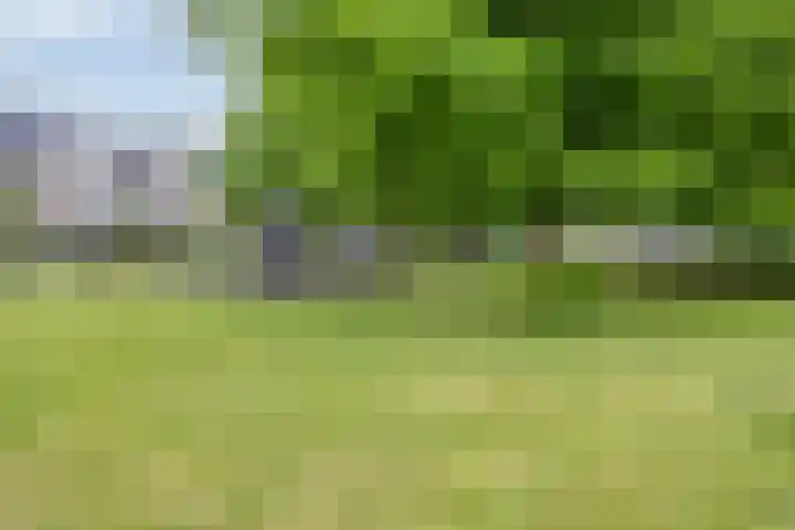 Havik 14 Etten-Leur thumbnail 30