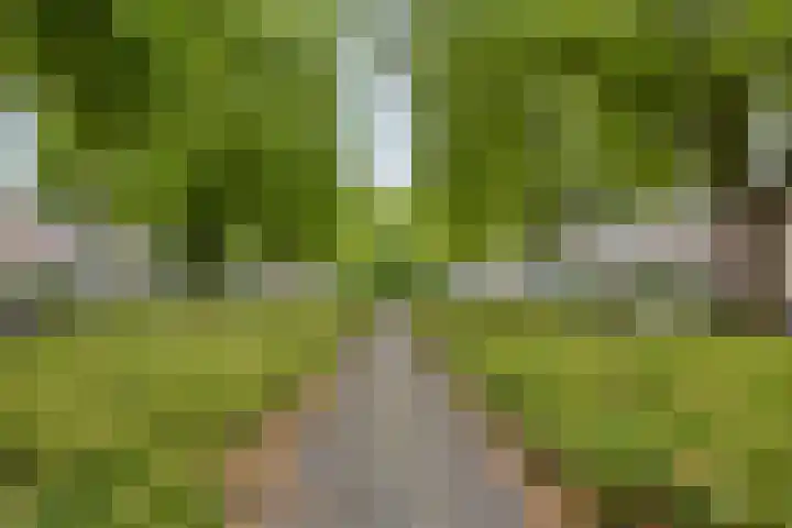 Havik 14 Etten-Leur thumbnail 31