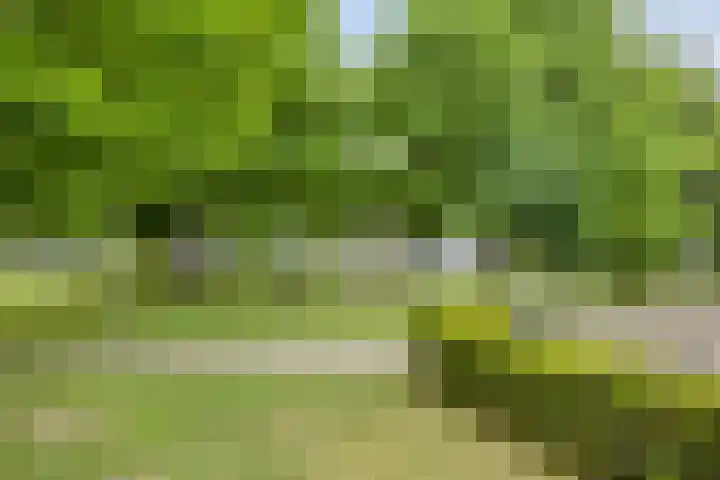 Havik 14 Etten-Leur thumbnail 32
