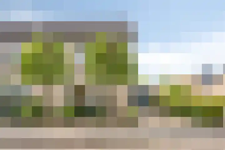 Havik 14 Etten-Leur thumbnail 34