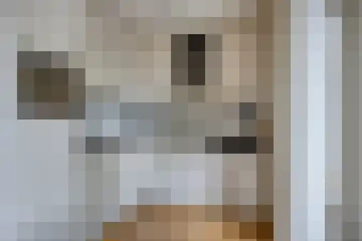 Havik 14 Etten-Leur thumbnail 9