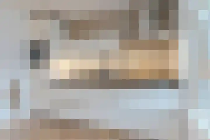 Havik 14 Valkenswaard thumbnail 15