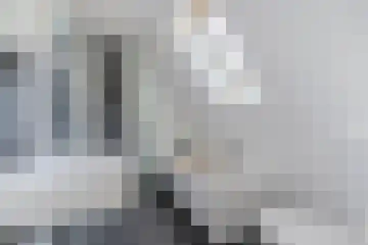 Havik 14 Valkenswaard thumbnail 23