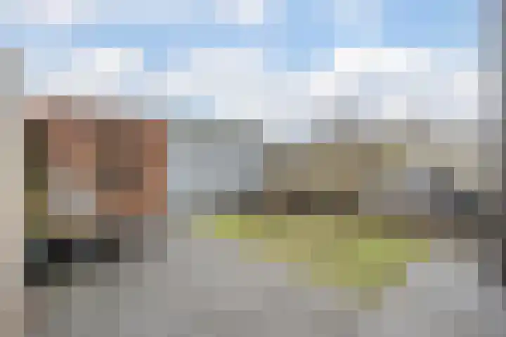 Havik 14 Valkenswaard thumbnail 27