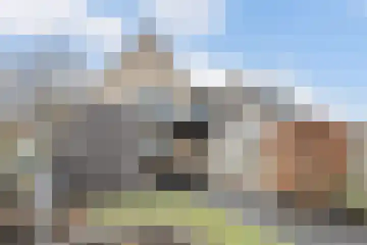 Havik 14 Valkenswaard thumbnail 28
