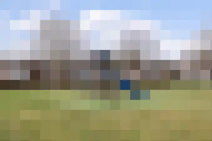 Havik 14 Valkenswaard thumbnail 31