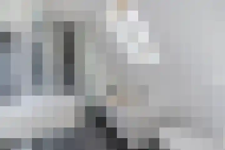 Havik 14 Valkenswaard thumbnail 5