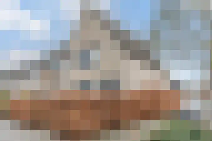 Havik 14 Valkenswaard thumbnail 7