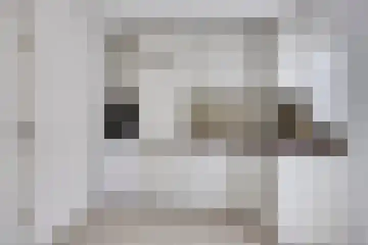 Havik 14 Veldhoven thumbnail 12