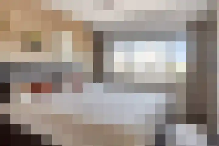 Havik 14 Veldhoven thumbnail 15