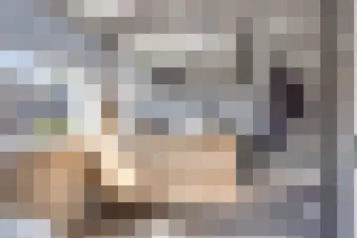 Havik 14 Veldhoven thumbnail 18