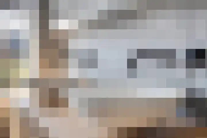 Havik 14 Veldhoven thumbnail 19