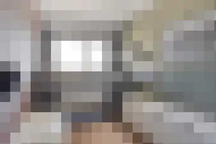 Havik 14 Veldhoven thumbnail 20