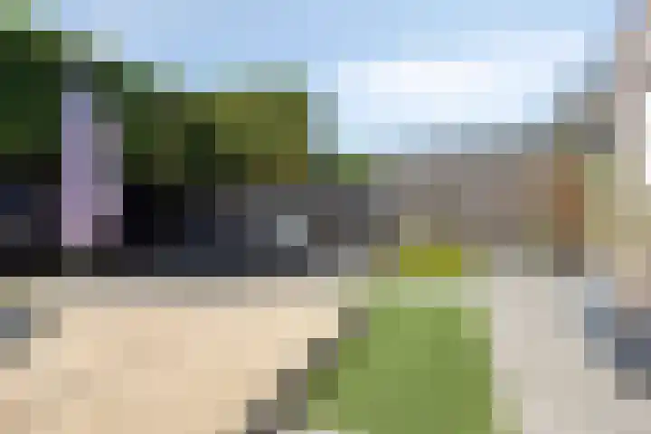 Havik 14 Veldhoven thumbnail 28