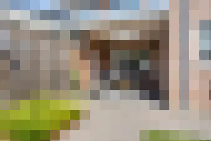 Havik 14 Veldhoven thumbnail 29